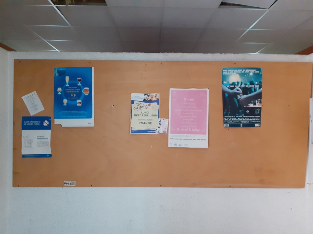 Panneau Contreplaqué (CP) - 300 x 130 x 1cm