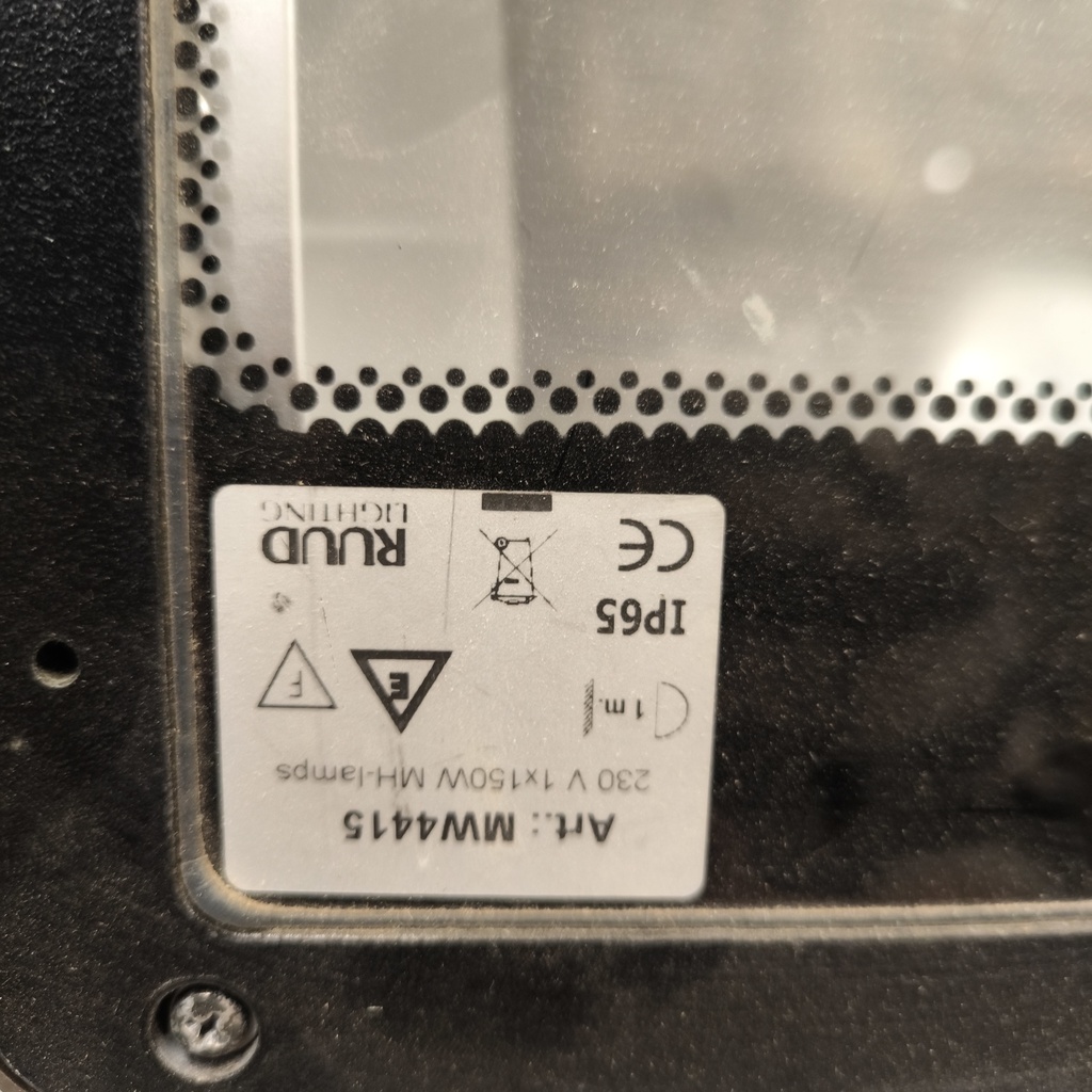 Luminaire Extérieur RUUD 150W IP65