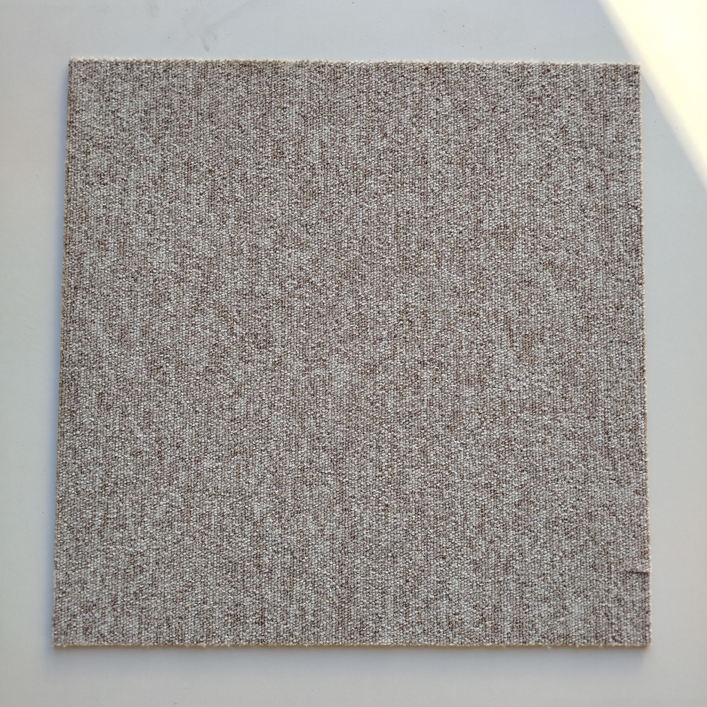 Dalle Moquette Beige/Marron - 50 x 50cm