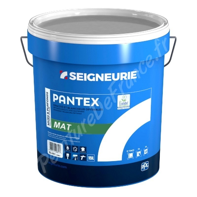 Peinture Int Acrylique Gris SEIGNEURIE PANTEX MAT 15L