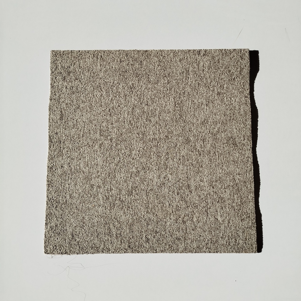Dalle Moquette Grise Tachetée - 50 x 50cm