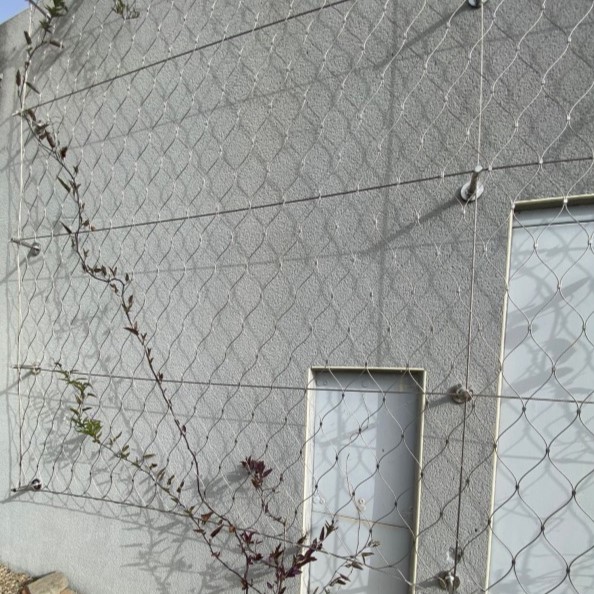 Filet Tuteur Végétaux Pour Façade - 6 x 2m 