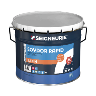 Peinture Laque Gris SEIGNEURIE SOYDOR RAPID Satin 2.5L