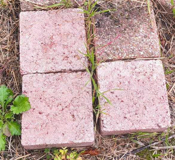 Pavé Autobloquant  (Carré)