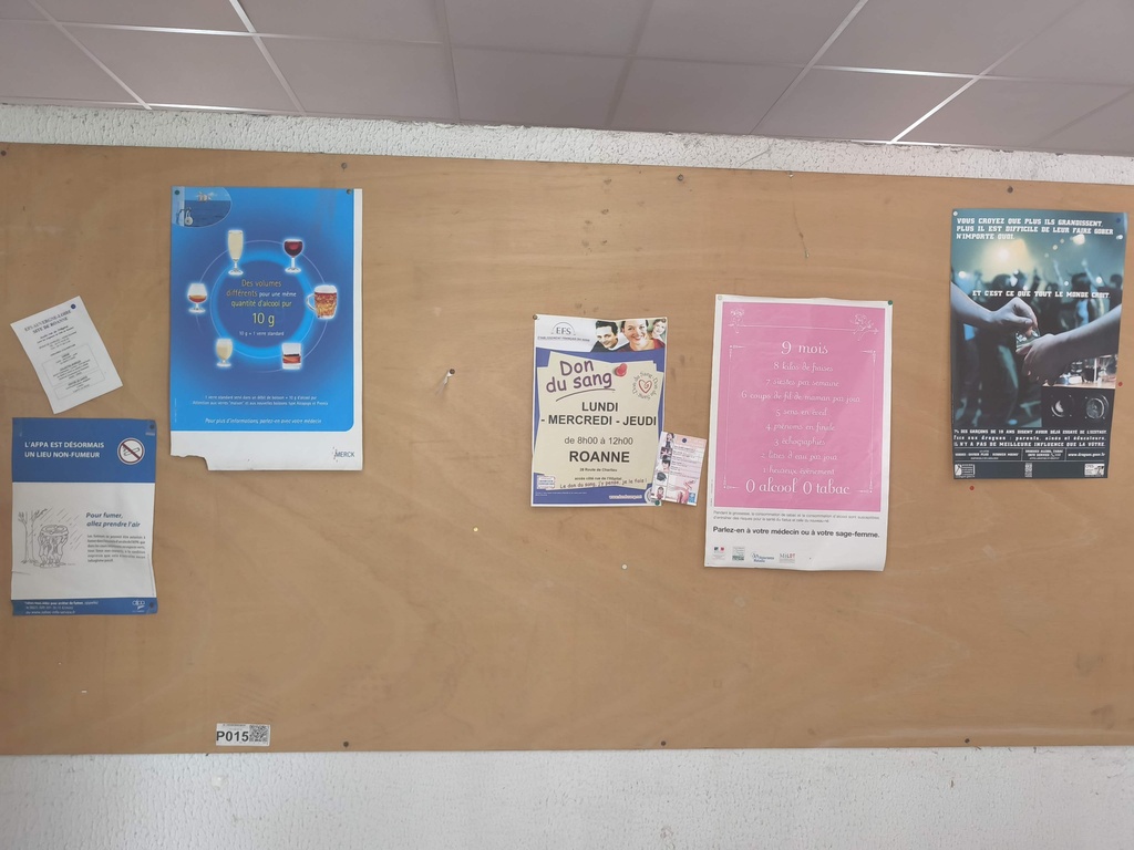 Panneau Contreplaqué (CP) - 300 x 130 x 1cm