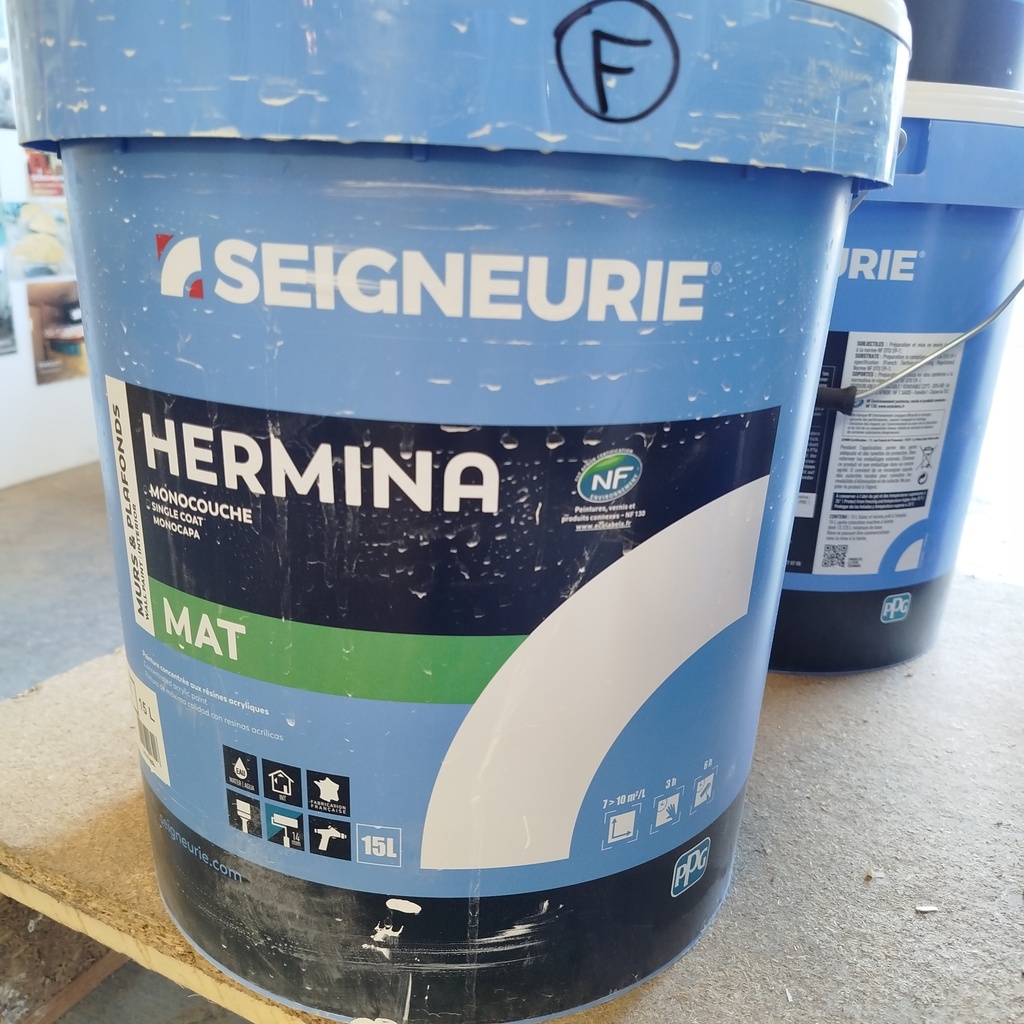 Peinture Monocouche Blanche - 13L