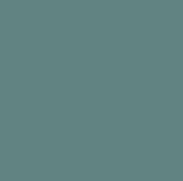 Peinture Intérieur - 0.5L