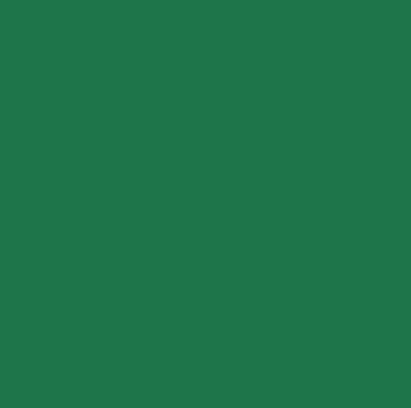Peinture Intérieur - 0.5L