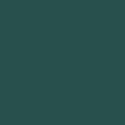 Peinture Intérieur - 15L