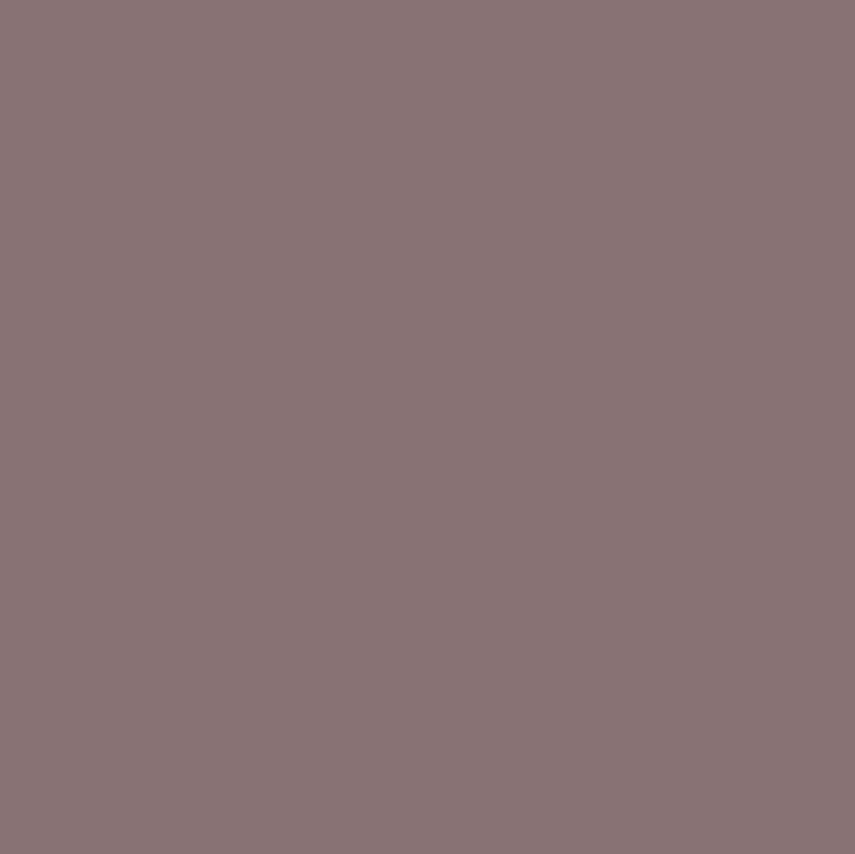 Peinture Intérieur Taupe Clair