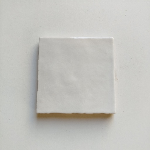 [250731LFS057] Lot Carrelage - 1.1m² - 10 x 10 x 1cm