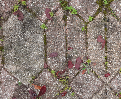 [CO260316EPO003] Pavé Autobloquant (Losange)