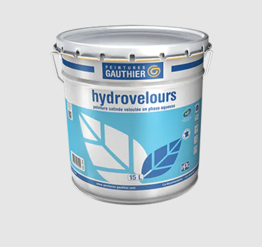 Peinture Intérieur - 5L