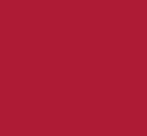 Peinture Intérieur Rouge