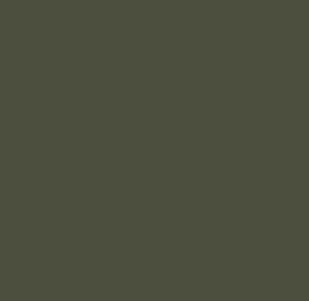 Peinture Intérieur Vert Verdana